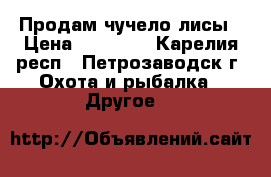 Продам чучело лисы › Цена ­ 20 000 - Карелия респ., Петрозаводск г. Охота и рыбалка » Другое   